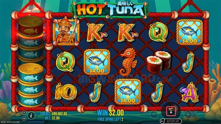 Sports betting on YY777 App